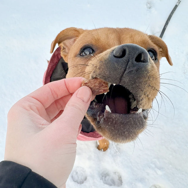 Pala Hundeleckerli Rabbit Treats, 100g