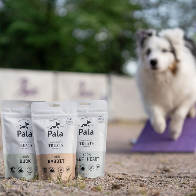 Pala Hundeleckerli Rabbit Treats, 100g