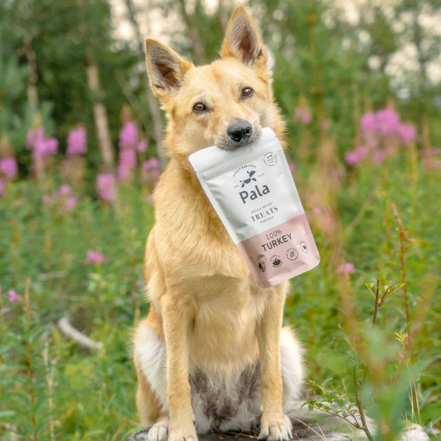 Pala Hundeleckerli Turkey Treats, 100g