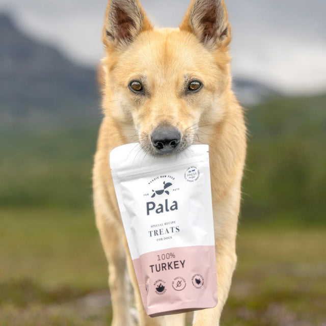 Pala Hundeleckerli Turkey Treats, 100g