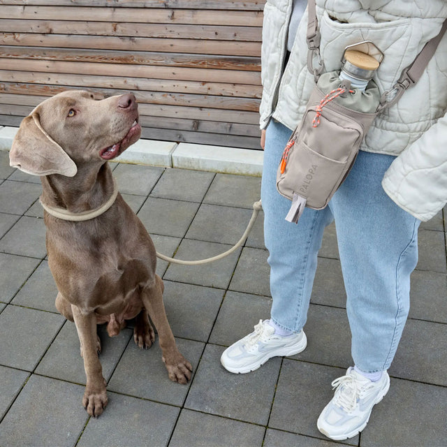PALOPA Flaschen- und Leckerlitasche Boudi, Taupe Taschen