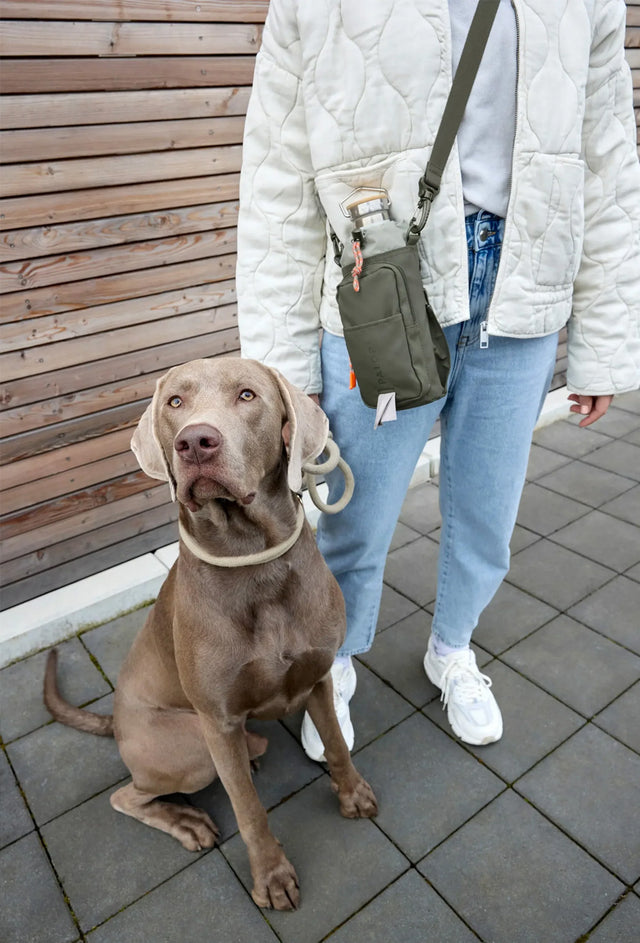 PALOPA Flaschen- und Leckerlitasche Boudi, Dunkelgrün Taschen