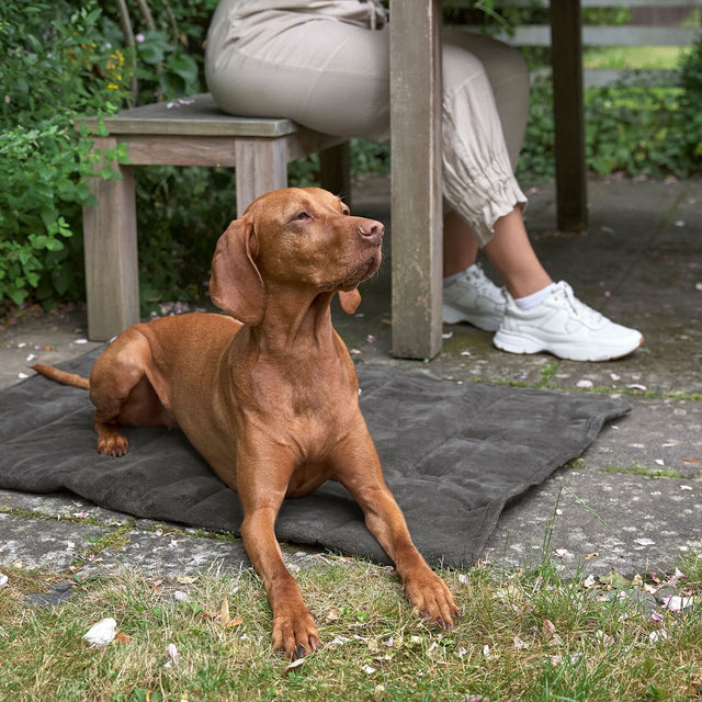PALOPA Hundematte Alma, Anthrazit Hundedecke