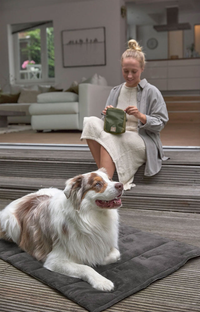 PALOPA Hundematte Alma, Anthrazit Hundedecke