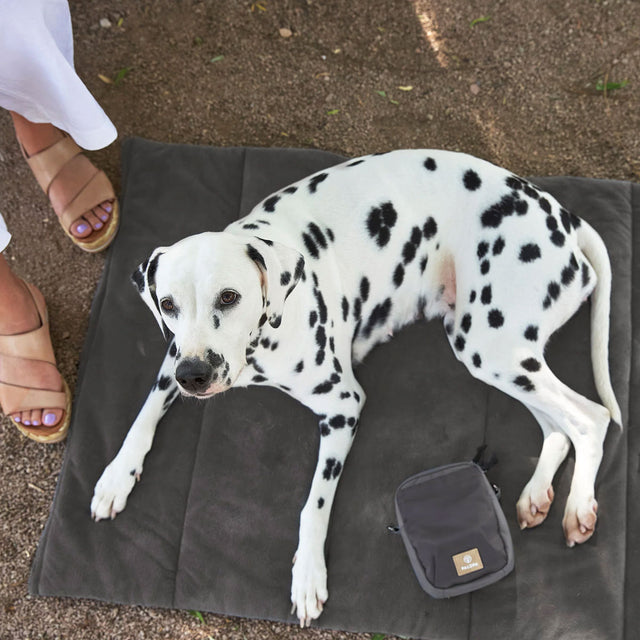 PALOPA Hundematte Alma, Anthrazit Hundedecke
