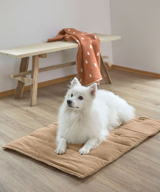 PALOPA Hundematte Alma, Humus Hundedecke