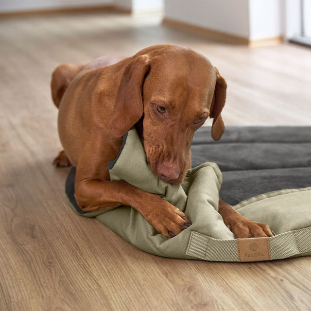 PALOPA Hundematte Alma, Salbei Hundedecke