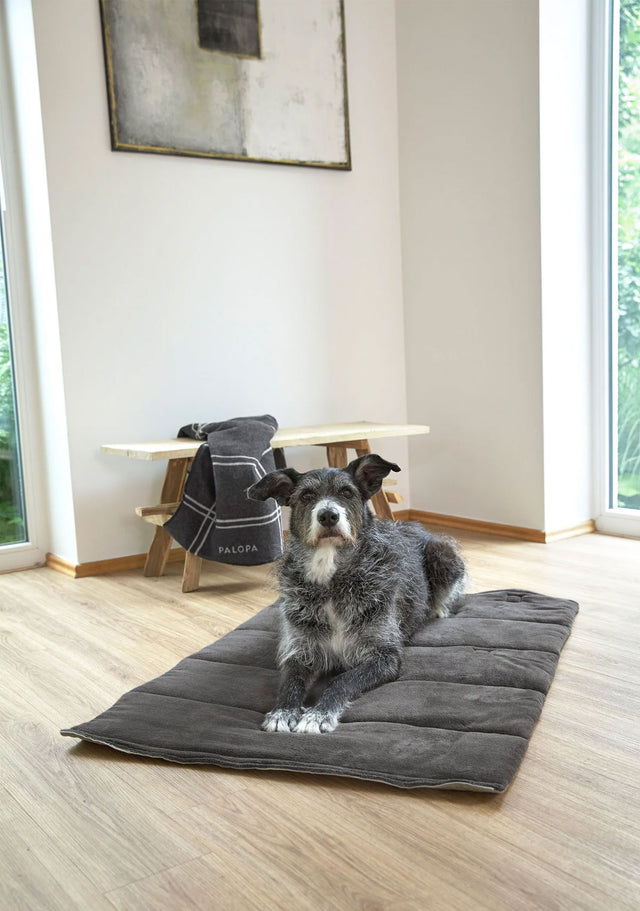 PALOPA Hundematte Alma, Salbei Hundedecke