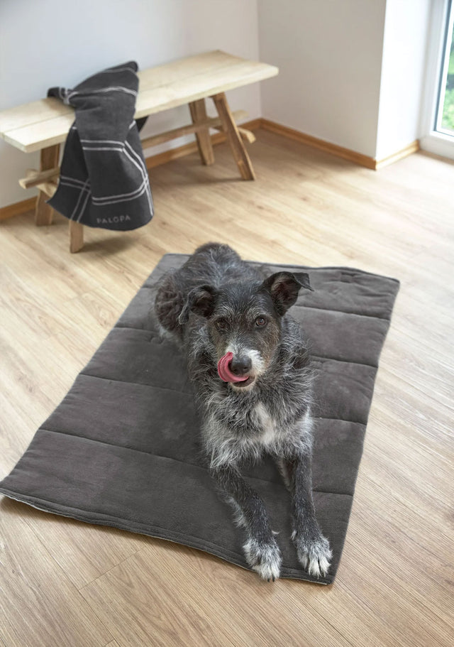 PALOPA Hundematte Alma, Salbei Hundedecke