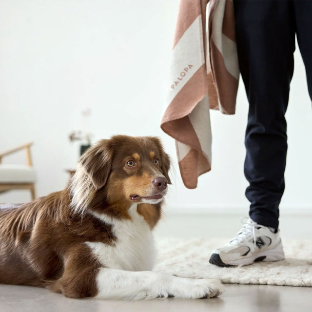 PALOPA Hundedecke Ida, Ahorn Streifen Hundedecke