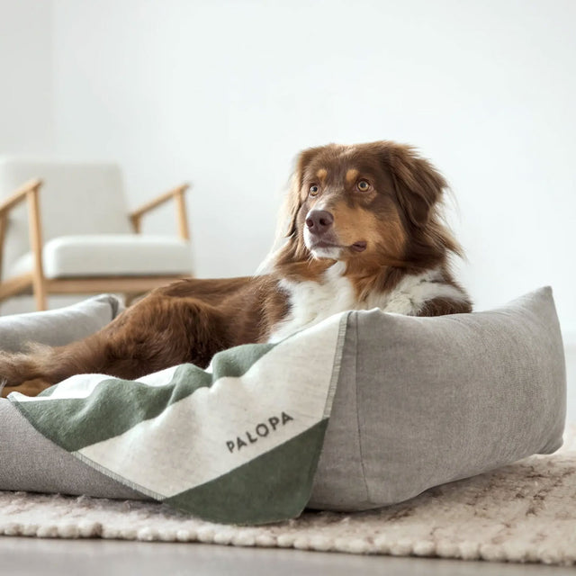 PALOPA Hundedecke Ida, Dunkelgrün Streifen Hundedecke