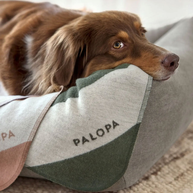 PALOPA Hundedecke Ida, Dunkelgrün Streifen Hundedecke