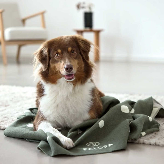 PALOPA Hundedecke Ida, Punkte Dunkelgrün Hundedecke