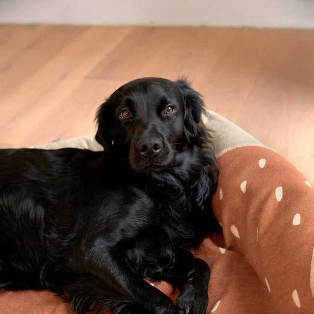 PALOPA Hundedecke Ida, Punkte Zimt Milchig Hundedecke