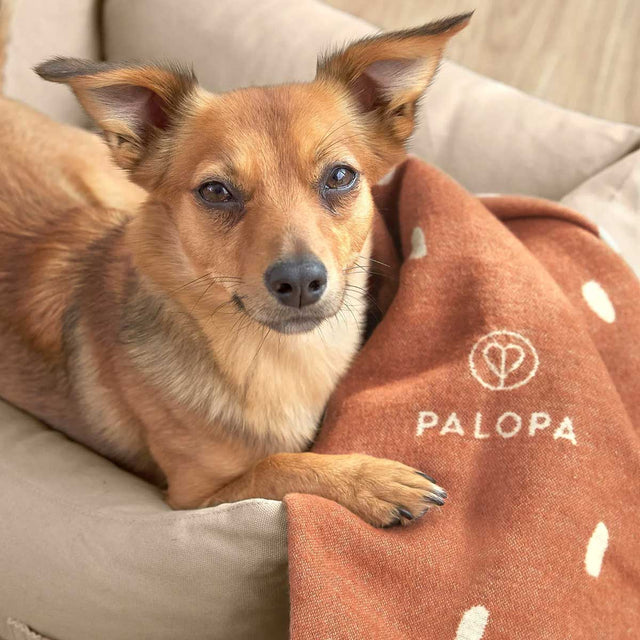 PALOPA Hundedecke Ida, Punkte Zimt Milchig Hundedecke