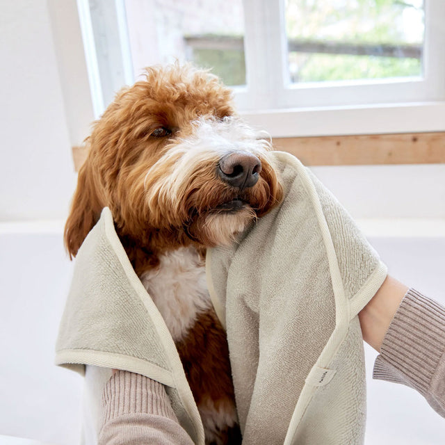 PALOPA Hundehandtuch Kosy, Beige Hundehandtuch