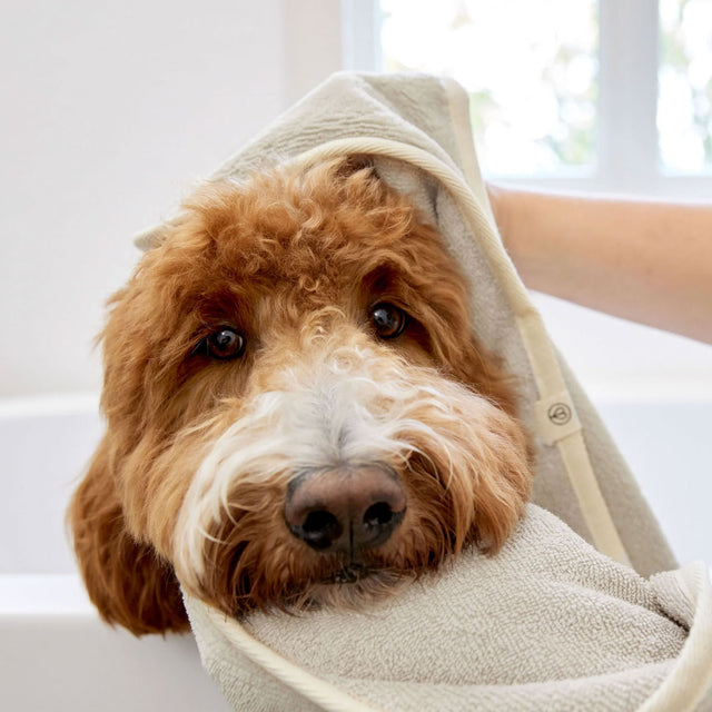 PALOPA Hundehandtuch Kosy, Beige Hundehandtuch