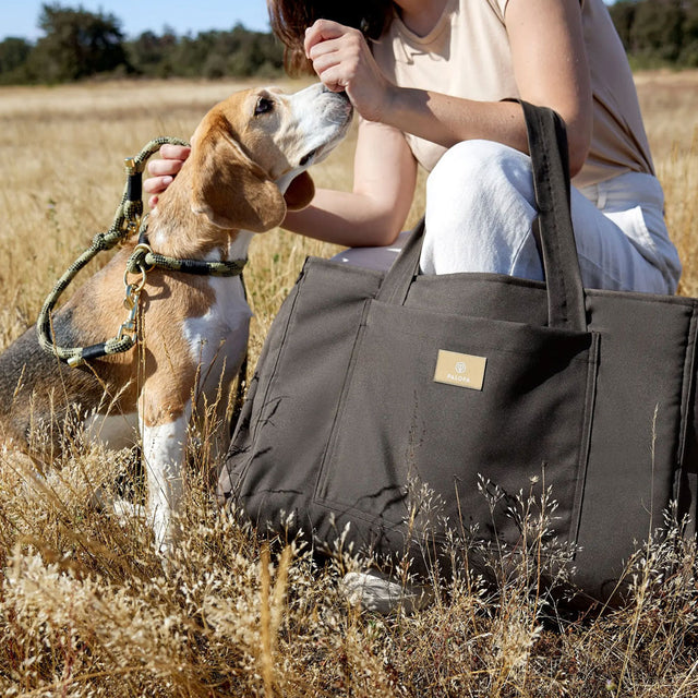 PALOPA Hundemattentasche Nobo, Anthrazit Taschen