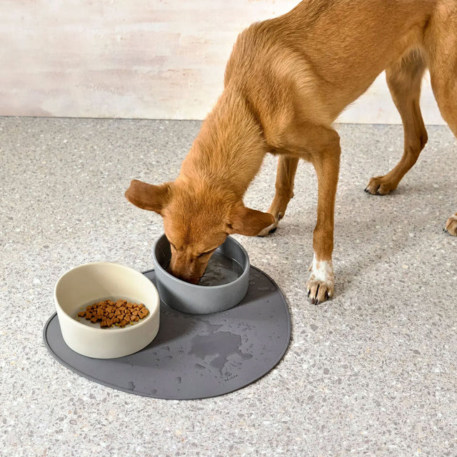 PALOPA Hundenapf Cali, Beige Napf