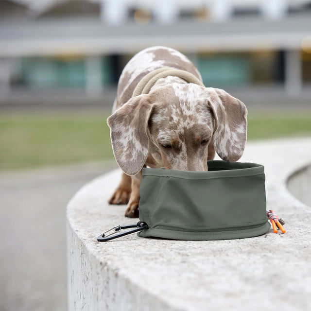 PALOPA Dog Bowl To Go Tura, Dunkelgrün Reisenapf