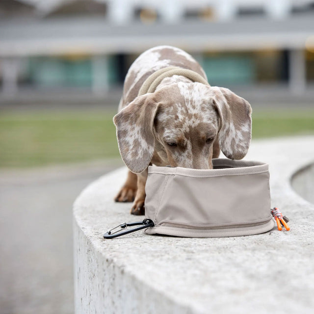 PALOPA Dog Bowl To-Go Tura, Taupe Reisenapf