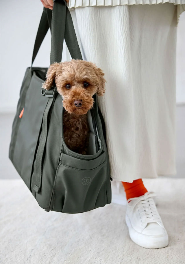 PALOPA Hundetragetasche Weda, Dunkelgrün Hundetragetasche