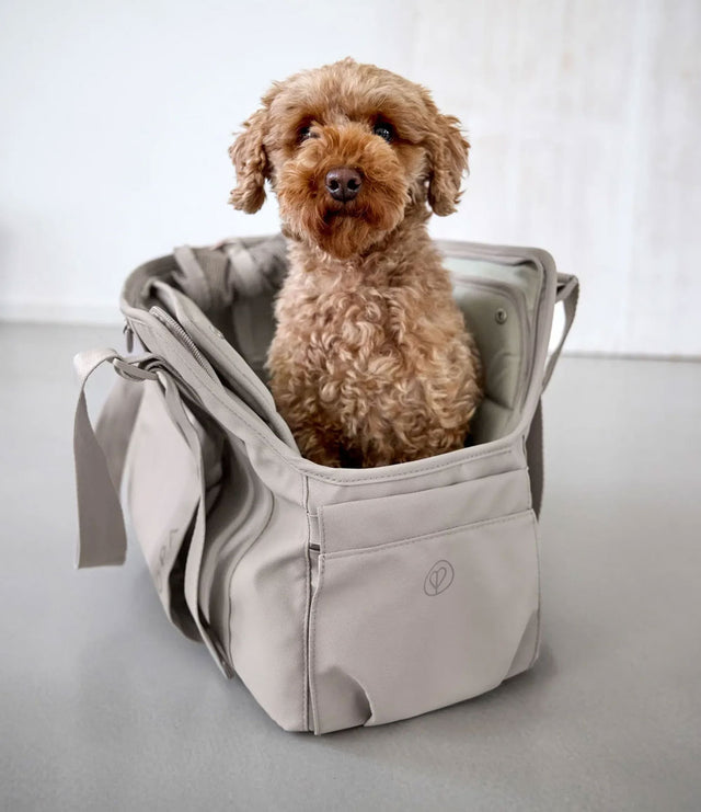 PALOPA Hundetragetasche Weda, Taupe Hundetragetasche