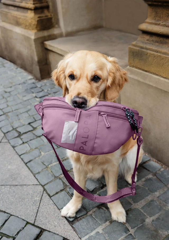 PALOPA Leckerlibeutel Emma, Berry Rot Leckerlibeutel