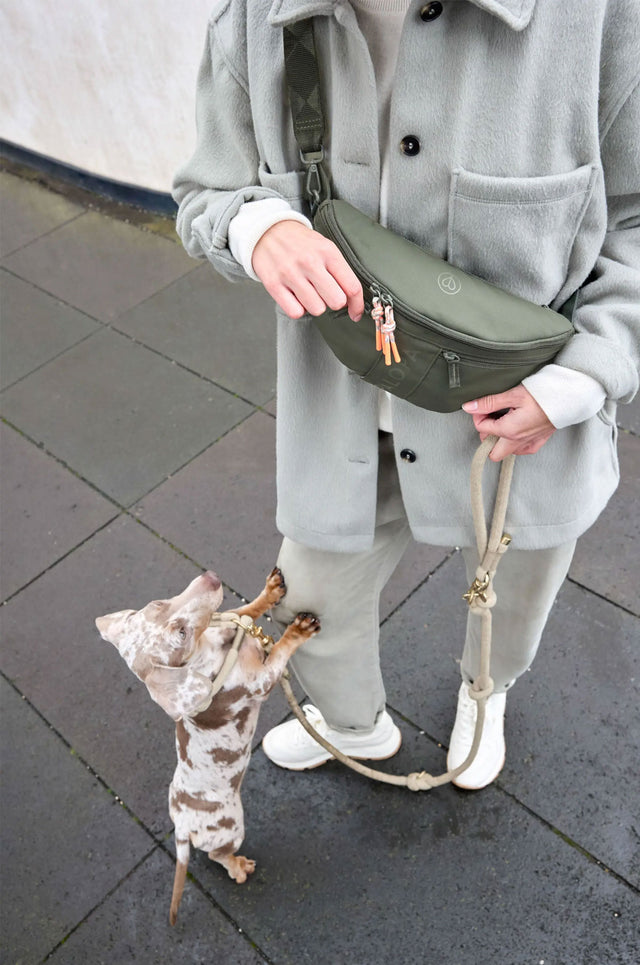 PALOPA Leckerlibeutel Emma, Dunkelgrün Leckerlibeutel