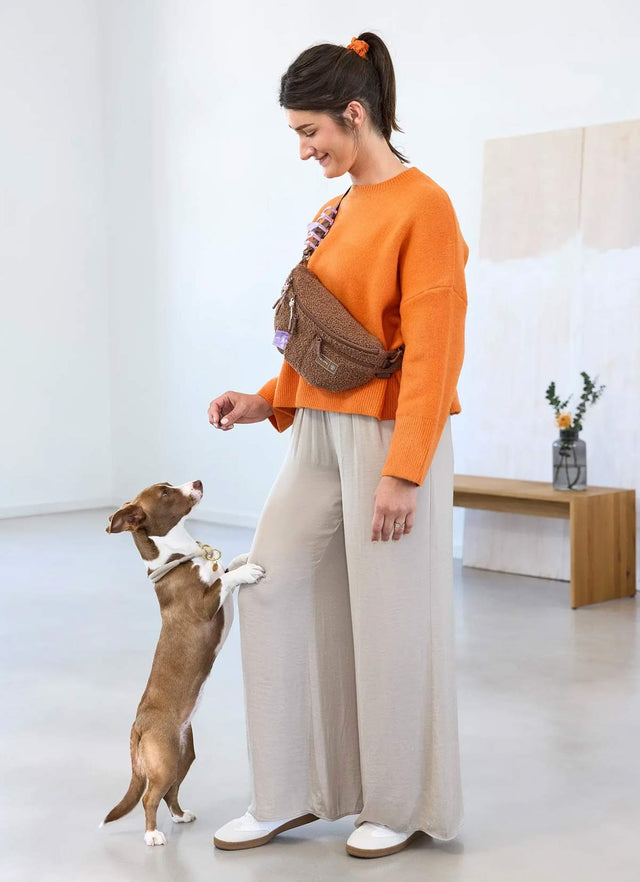 PALOPA Leckerlibeutel Emma Teddy-Fleece, Brown Leckerlibeutel