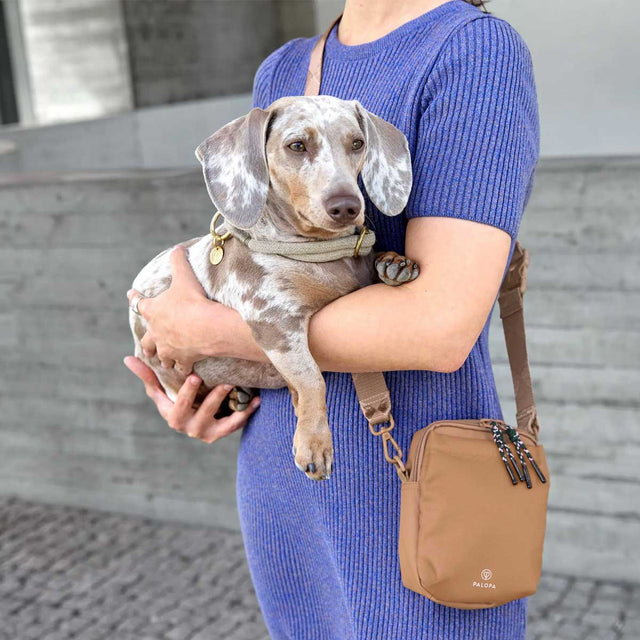 PALOPA Leckerlibeutel Greta, Mandel - Limited Edition Leckerlibeutel