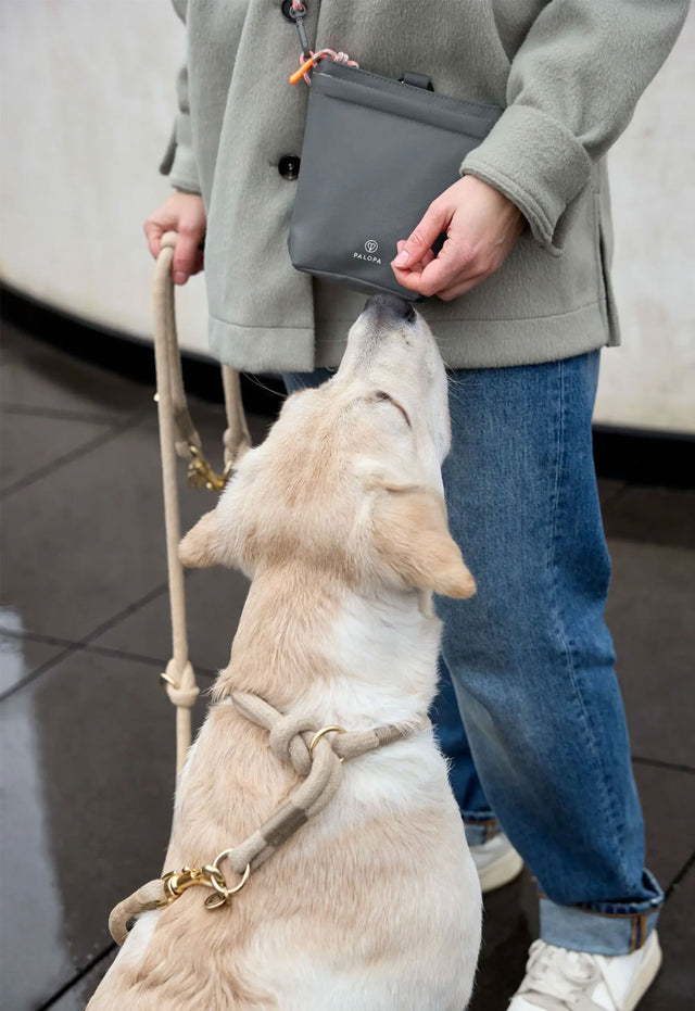 PALOPA Leckerlibeutel Karl, Dunkelgrau Leckerlibeutel