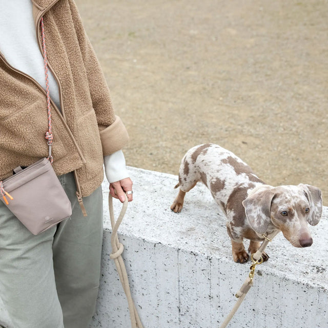 PALOPA Leckerlibeutel Karl, Taupe Leckerlibeutel