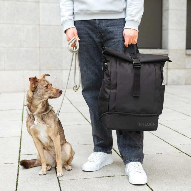 PALOPA Rolltop Rucksack Yoska, Schwarz Rucksack