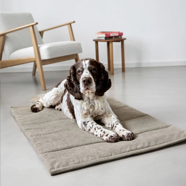 PALOPA Hundematte Alma, Beige Hundedecke