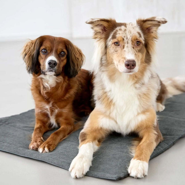 PALOPA Hundematte Alma, Dunkelgrau Hundedecke