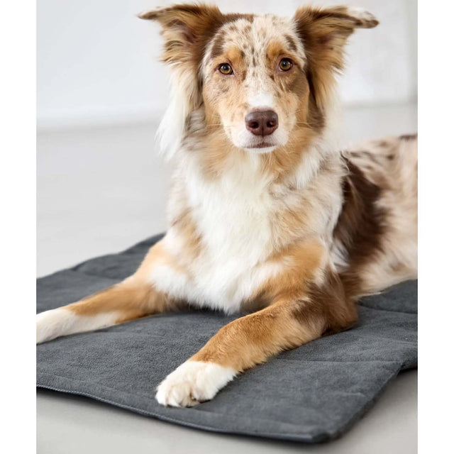 PALOPA Hundematte Alma, Dunkelgrau Hundedecke