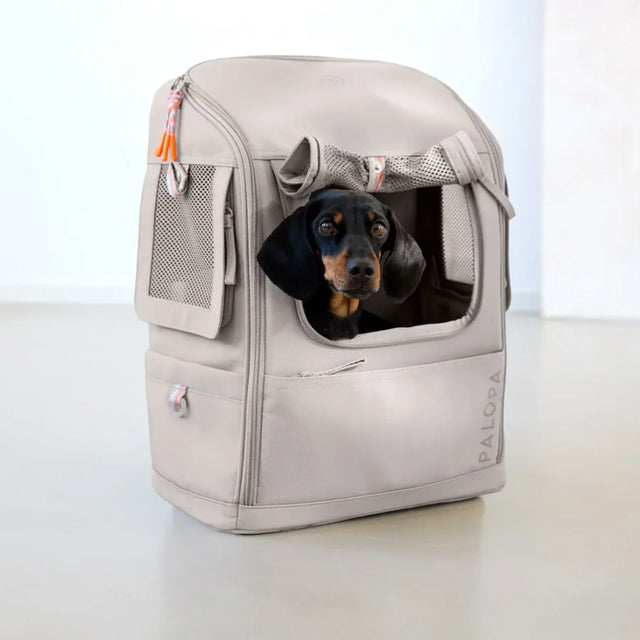 PALOPA Hundetragerucksack Kari, Dunkelgrün Rucksack