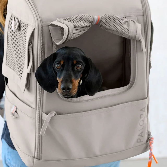 PALOPA Hundetragerucksack Kari, Dunkelgrün Rucksack