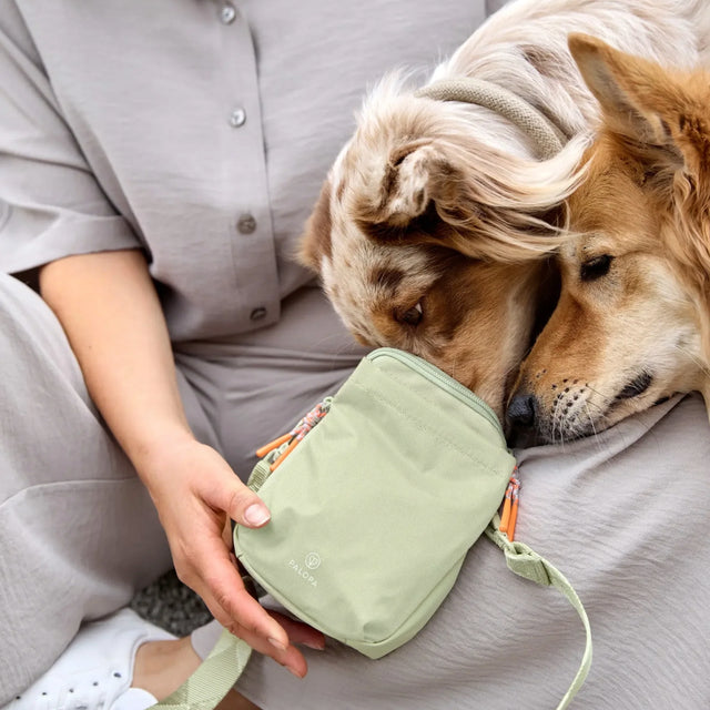 PALOPA Leckerlibeutel Greta, Khaki - Limited Edition Leckerlibeutel