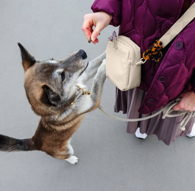 PALOPA Leckerlibeutel Greta, Creme Leckerlibeutel