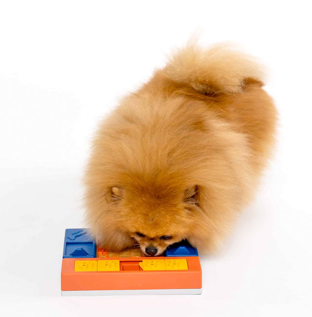 Pawzler Dog Puzzle Beginner Set Interaktiv