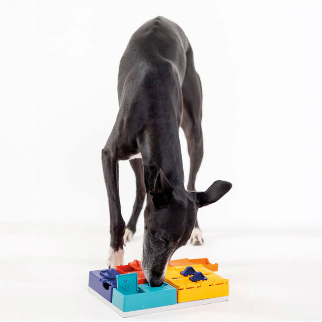 Dog Puzzle Genius Set