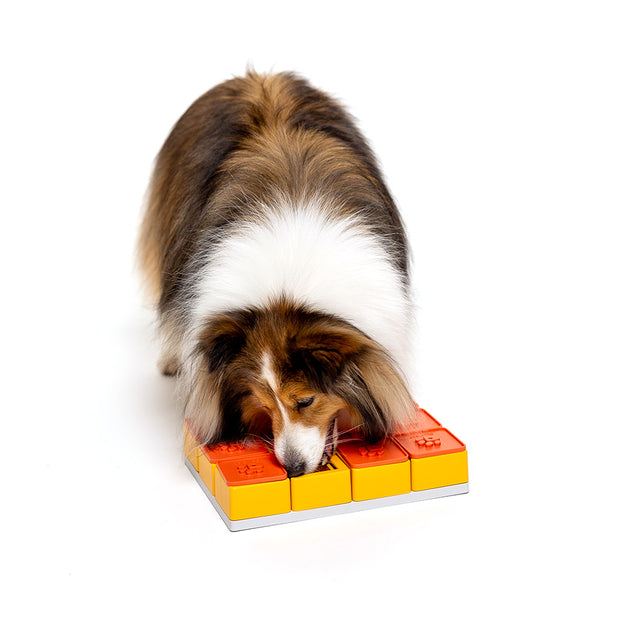 Dog Puzzle Treat Maze
