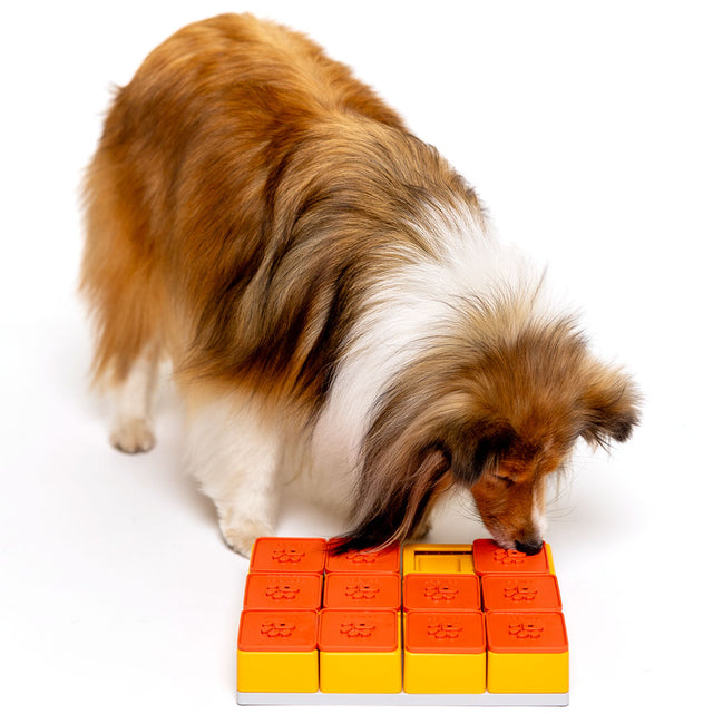 Dog Puzzle Treat Maze