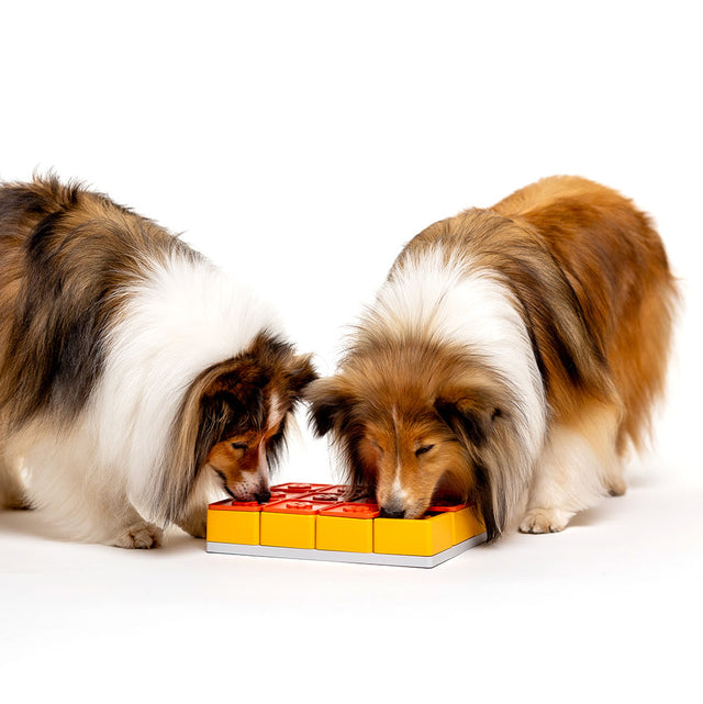 Dog Puzzle Treat Maze