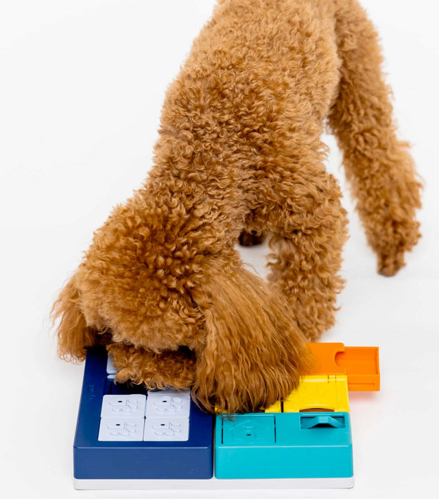 Pawzler Dog Puzzle Smarty Set Interaktiv