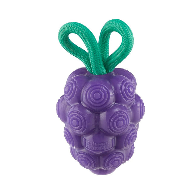 Planet Dog Hundespielzeug Dental Grapes Interaktiv