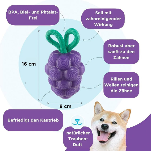 Planet Dog Hundespielzeug Dental Grapes Interaktiv