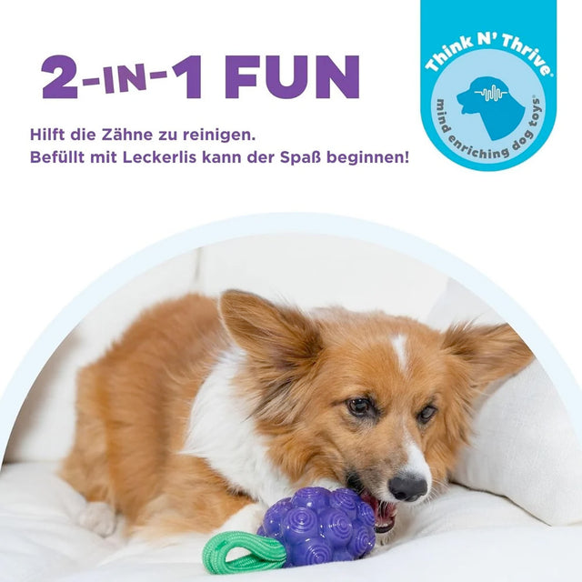 Planet Dog Hundespielzeug Dental Grapes Interaktiv